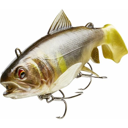 Daiwa Daiwa Prorex Live Trout Swimbait - Aboprämie inkl. Jahresabonnement Daiwa Daiwa Prorex Live Trout Swimbait - Aboprämie inkl. Jahresabonnement