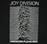 Joy Division