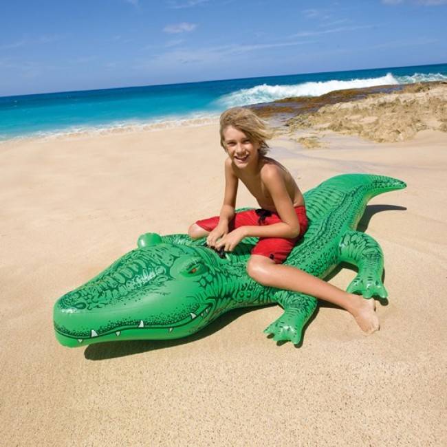 inflatable crocodile kmart