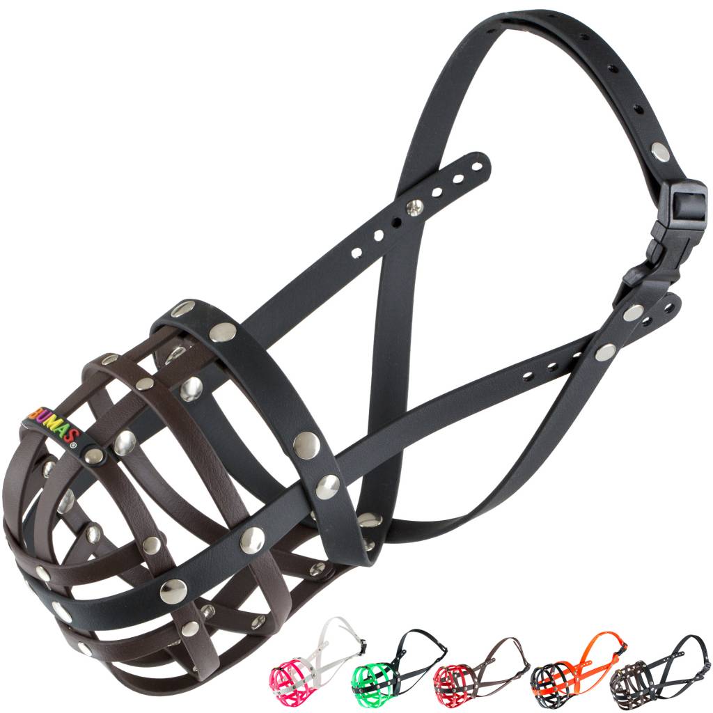 BUMAS Muzzle Australian Shepherd, brown/black BUMAS Shop for custom