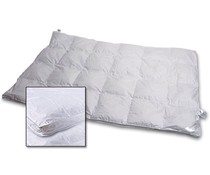 Lifesleep Lifesleep