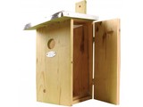 Osservazione Birdhouse (osservazione alveare)