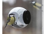 L'acquisto di Bird Feeder? Bird Feeder (con una ventosa utile per il montaggio sulla finestra)