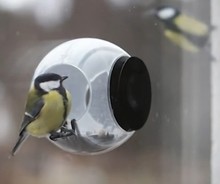 Here You Can Buy Cheap Peanut Feeders Bird Houses Cheap Bird