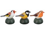 Set di 3 uccelli benvenuto decorativi cinguettare suono (1x merlo, pettirosso e 1x 1x tick)