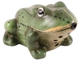 Con il suono rana gracchiante decorativo (con un rilevatore di movimento, di cui 2 batterie AA)