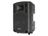 Active Speaker 12"