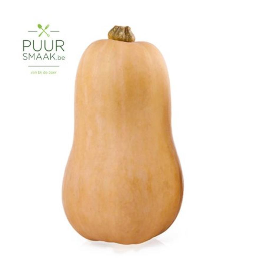 butternut pompoen | recht van bij de boer - puur smaak
