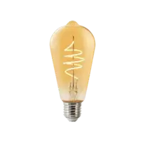 Edison Lampen