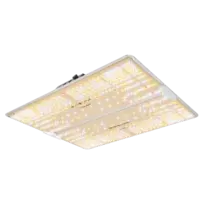 Spider Farmer SF-Series