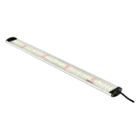 Apollo Falcon Series