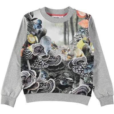 Molo Forest Squirrels shirt
