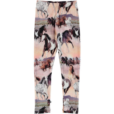 Molo legging Wild Horses