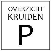 P - KRUIDEN EN SPECERIJEN DIE BEGINNEN MET 'P'