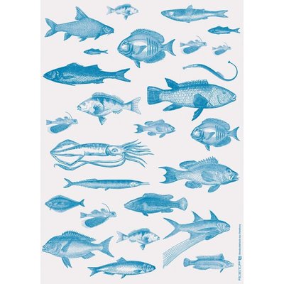 Frohstoff GESCHENKPAPIER/ POSTER Fische blau 50x70 cm
