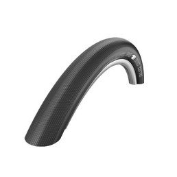 Schwalbe Big One SnakeSkin 29" strandband