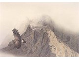 Flying spirit (97 x 67 cm)
