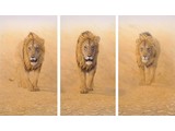 Three Kings (100 x 70 cm)
