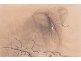 African Dust (100 x 66 cm)