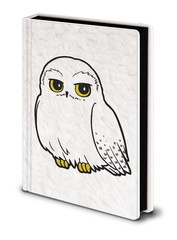 Notitieboeken