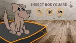 Insect Bodyguard
