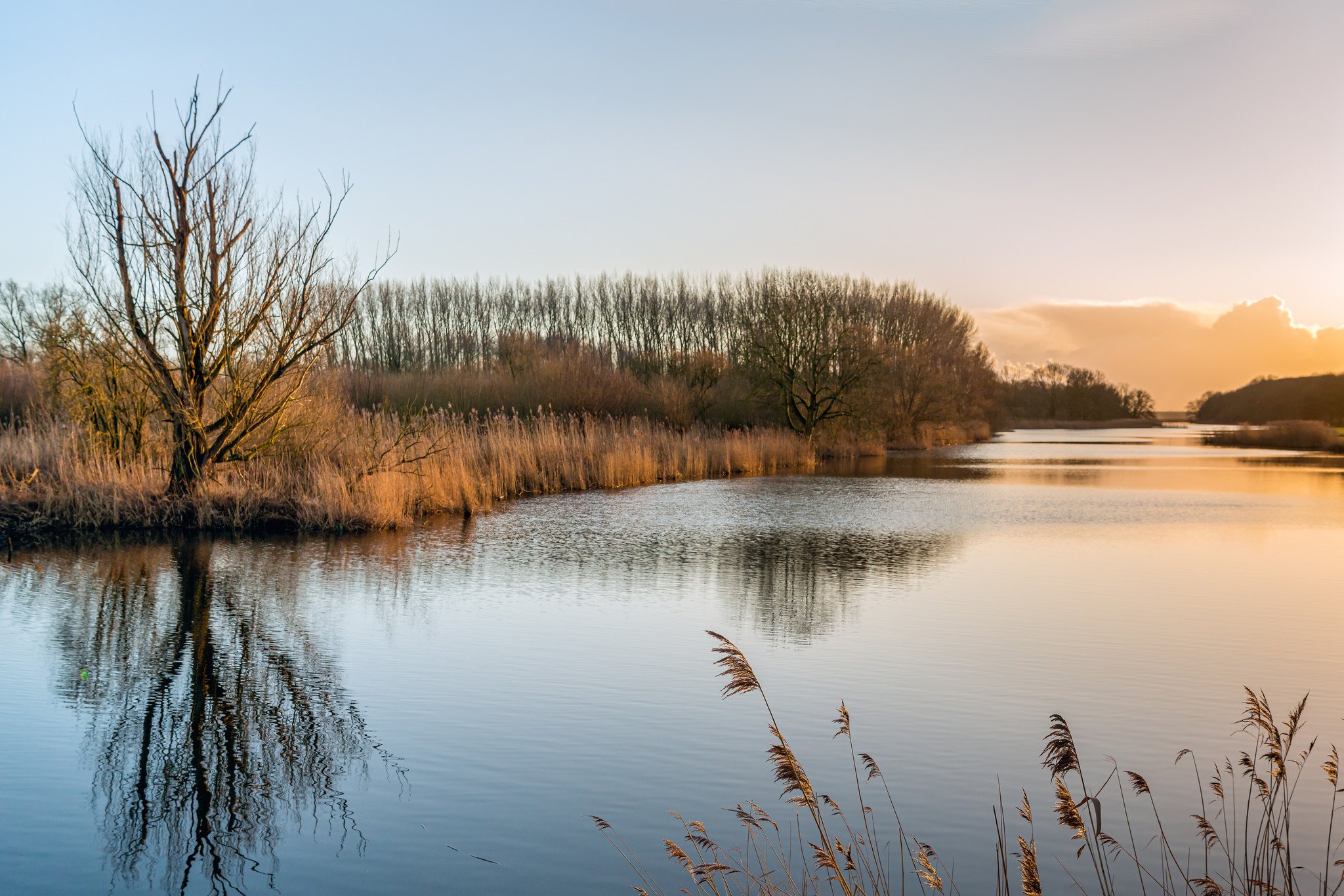 Biesbosch