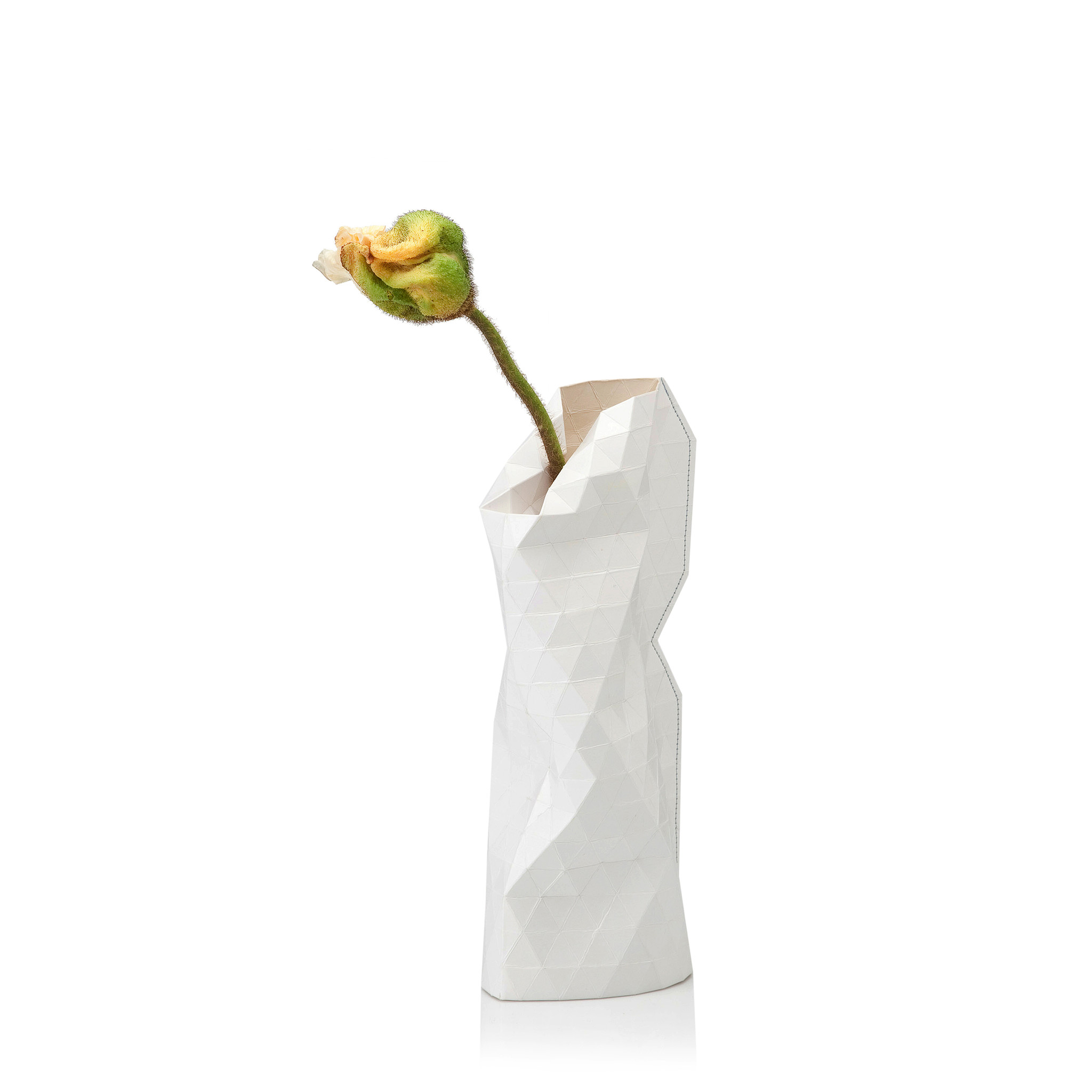 Paper Vase Cover Small Plain White Tiny Miracles Tiny Miracles
