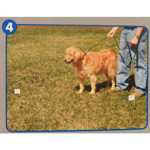 Petsafe Large >18 kg Dog In Ground Fence System PRF3004XW20