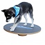 FitPAWS FitPAWS Tableau d'équilibre - Tableau oscillant - FitPAWS Wobble Board