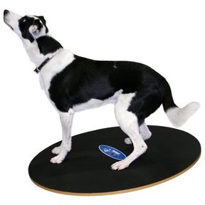 FitPAWS Wobble Board 50 cm & 90 cm