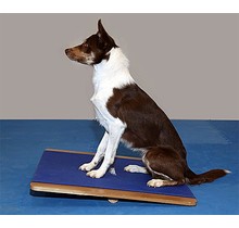 FitPAWS Giant Rocker Board – Extra-Wide Single‑Plane Balance Board (75 × 75 cm)