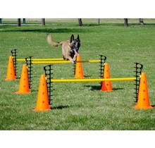FitPAWS Hurdle Set – Kit de Haies Réglables pour Chiens