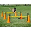 FitPAWS FitPA - adjustable and portable  agility cone and hurdle set