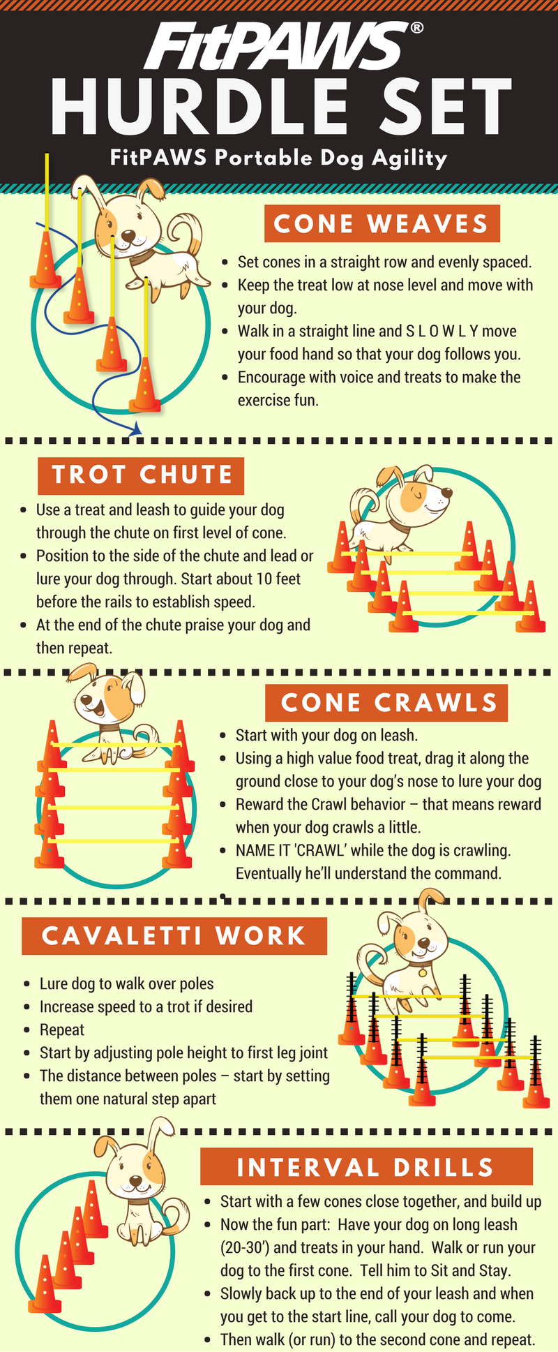 FitPAWS Hurdle Set Training