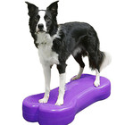 FitPAWS FitPAWS K9FITbone