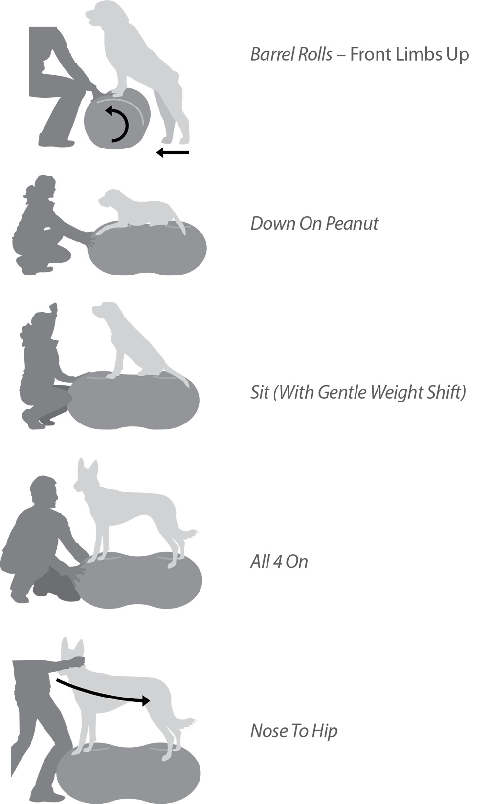 FitPaws Trax Peanut SalesDepot Tip 