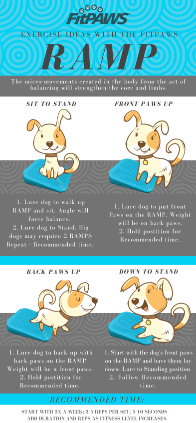 FitPAWS Ramp excercise - oefening