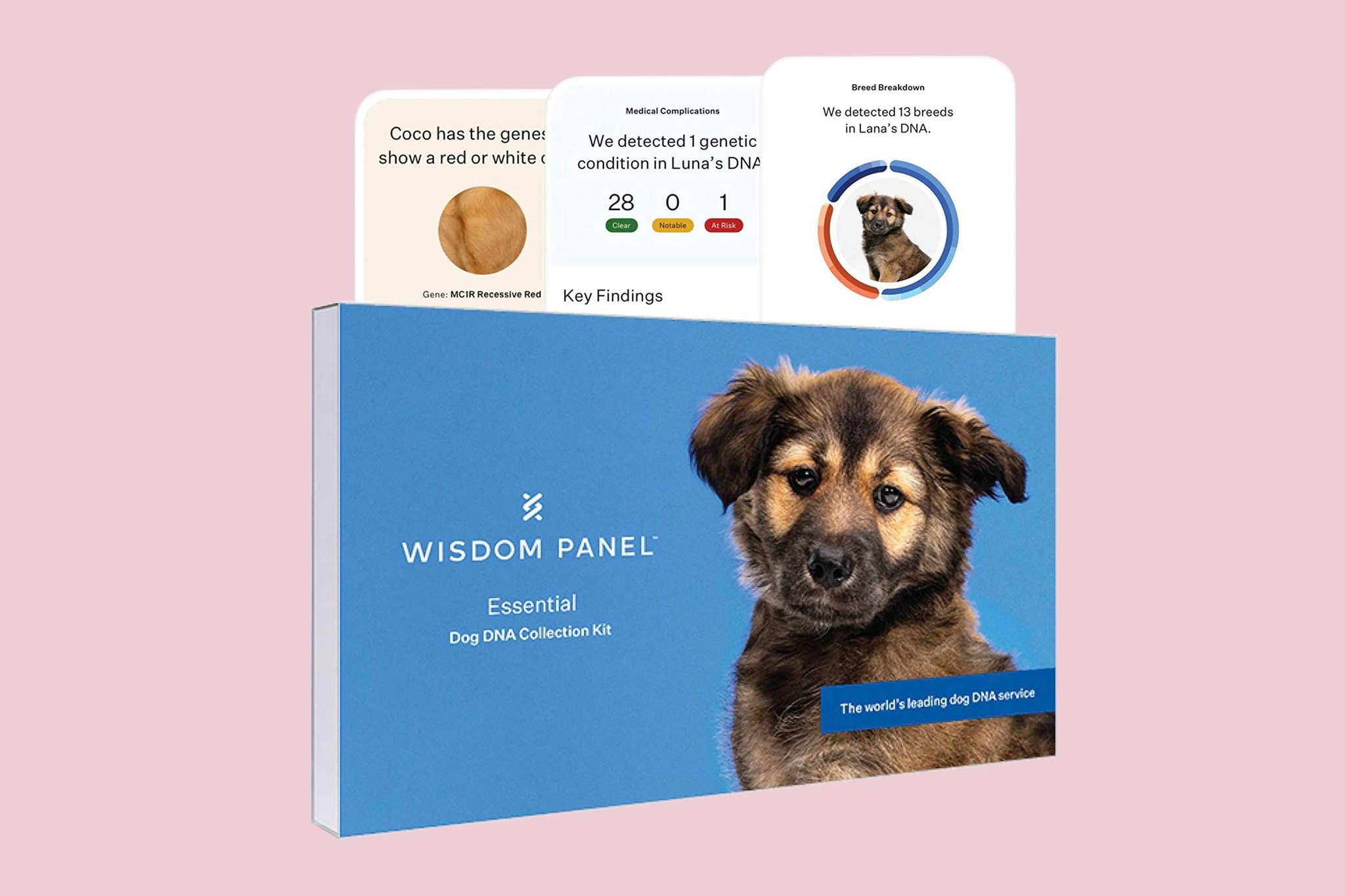 Wisdom Panel Essential test ADN pour Chien