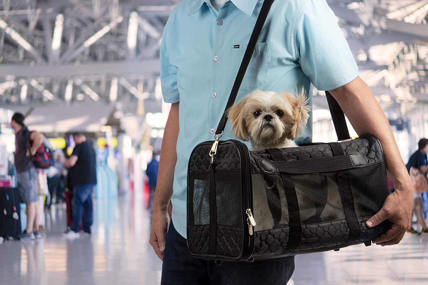 Sherpa: Safe and Comfortable Pet Travel Products