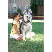 Petsafe clôture anti-fugue PRF-3004XW-20