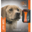 SportDOG SportDOG Add-A-Dog SDR-AXF-E – Collier Récepteur Supplémentaire pour Systèmes d’Entraînement