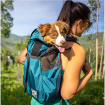 TRAINER Sac à dos pour chiens de petite et moyenne taille