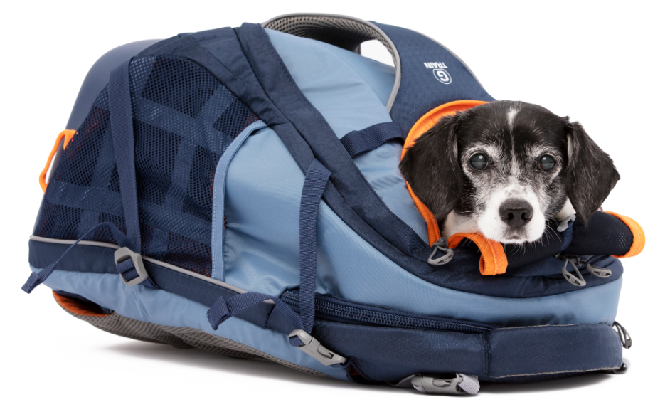 G train dog backpack 2025