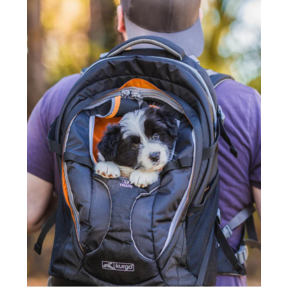 Sac à dos pour chien ou chat G-Train