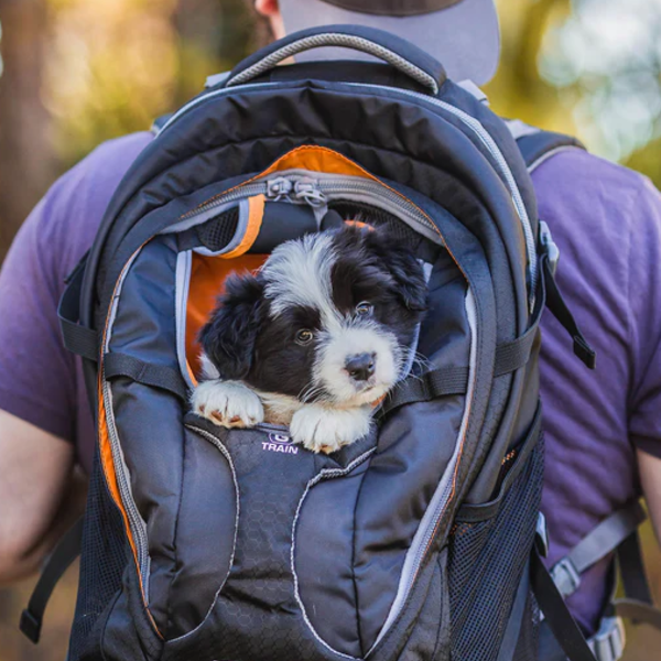 Kurgo dog or cat Backpack G-Train Pack Kurgo Lifetime warranty