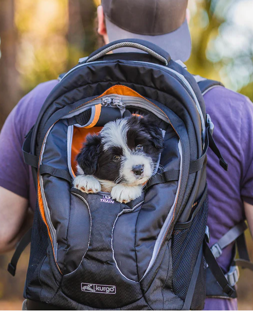 Rugzak hond sale