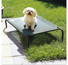 Coolaroo Pet Bed for cat or dog - Green - Small - 71 x 55 cm