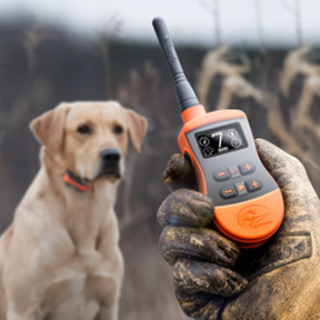 800m SportDog SportTrainer SD-875E