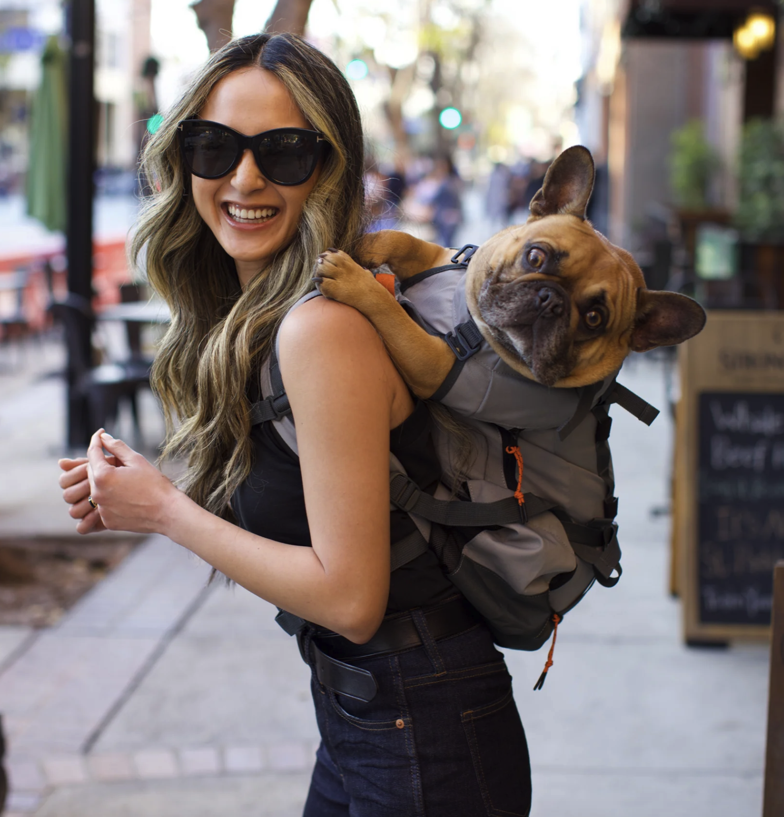 K9 Sport Sack Urban – Sac à Dos Porte-Chien