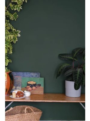 Farrow & Ball Farrow & Ball Duck Green No. W55